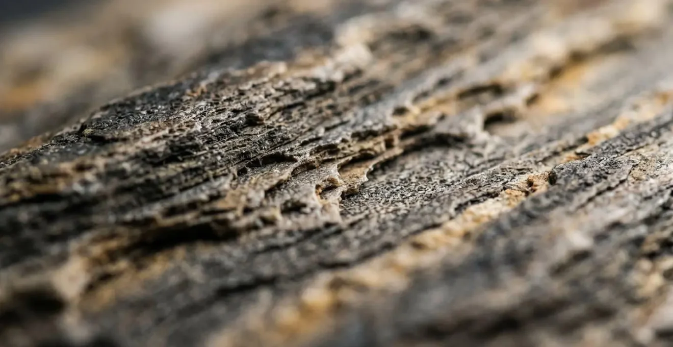 Macro photograph showing material erosion over time, representing the concept of contango decay in volatility products.